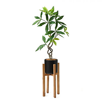 PRGR-1239 ツイストパキラ ウッドスタンド H125cm eco / GREENPARK プリマ GREENPARK PRGR-1239