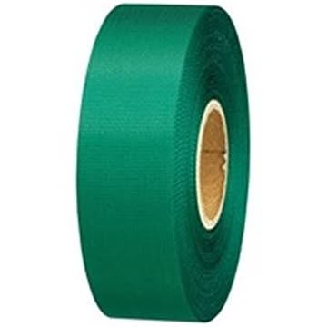 (業務用10セット) ジョインテックス カラーリボン緑 24mm*25m 10個 B824J-GR10