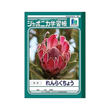 （まとめ） ショウワノート 学習ノート ジャポニカ学習帳 JA-68 1冊入 【×30セット】