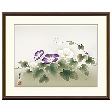 額絵 朝顔 吉井蘭月 52x42cm 三幸