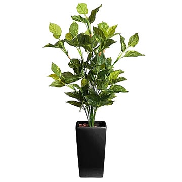 フェイクグリーン ポトス 120cm SC CT触媒 陶器鉢 黒鉢