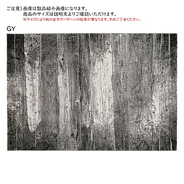 ラグ アストラ2 トルコ製 長方形 200x250cm プレーベル