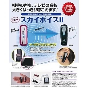 スカイボイスII