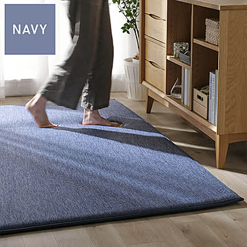 ラ・クッションラグ 接触冷感 ACR1C-1818 全2色