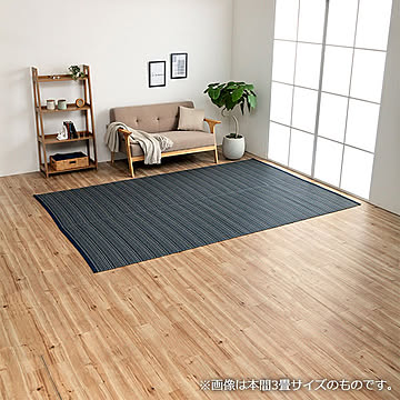 イケヒコ・コーポレーション ポリプロピレンラグ バルカン 10畳 ネイビー 2102202