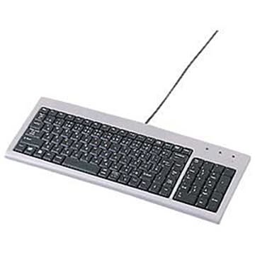 サンワサプライ スリムキーボード SKB-SL02U