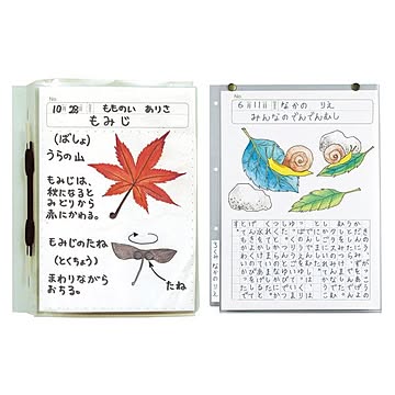 （まとめ）透明掲示ホルダー8切【×50セット】