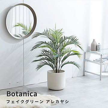 Botanica（ボタニカ） 光触媒 フェイクグリーン アレカヤシ m13507