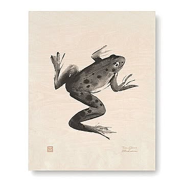 木のポスター Teemu Jarvi 24x30 FROG カエル POWRG-FR2