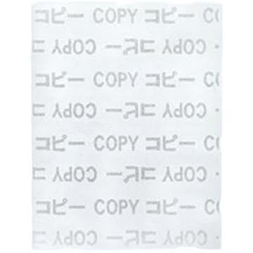 （まとめ）コトブキ コピー偽造防止用紙 A4 1047 100枚×2セット