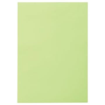 （まとめ） TANOSEE 色画用紙 八つ切 わかくさ 1パック（10枚） 【×30セット】