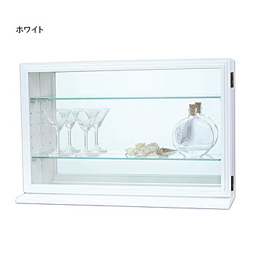 コレクションケース 完成品 カルトーネ スカーラY 幅562x奥行175x高さ370mm 塩川光明堂