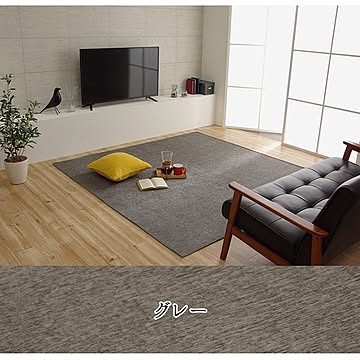 イケヒコ・コーポレーション 撥水ラグ モデルノ 200×250cm グレー