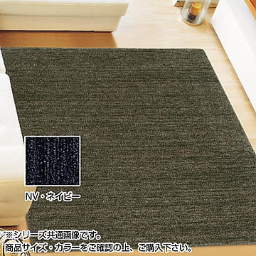 アスワン　ムシカビクリーンカーペット(防虫・防ダニ・防カビ・抗菌)　MC-100　130×190cm　NV・ネイビー　CA606147