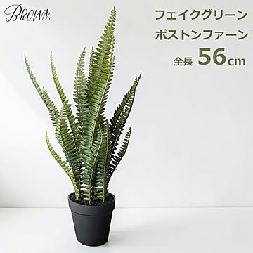 ボストンファーンポット 56cm /Farm＆Brown フェイクグリーン