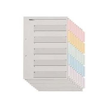 （まとめ） TANOSEE 見出しカード（エコノミータイプ） A4タテ 2穴 5色5山+扉紙 1セット（100組：10組×10パック） 【×2セット】