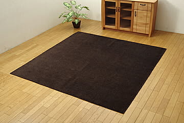 イケヒコ・コーポレーション モデルノ 洗える撥水ラグ ブラウン 130×185cm 4599019