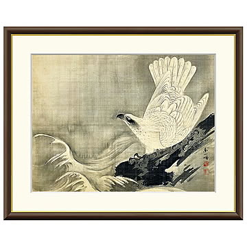 額絵 白鷹図 円山応挙 52x42cm 三幸