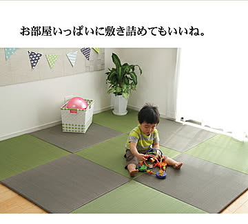 イケヒコ・コーポレーション 置き畳 プラード 70×70cm ライトグリーン 8313709