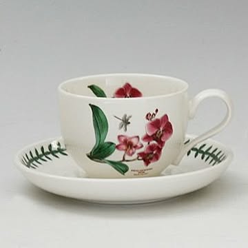 ポートメリオン　エキゾチックボタニックガーデン　ティーカップ＆ソーサー　EG04107【moth orchid　ファレノプシス】　洋食器　イギリス　ボタニック
