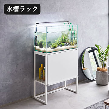 山崎実業 水槽ラック タワー tower