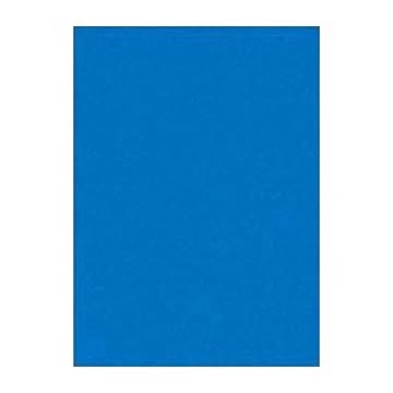 （まとめ） 文運堂 ニューカラーR 四ツ切 横392×縦542mm 4NCR-239 あお 100枚入 【×2セット】