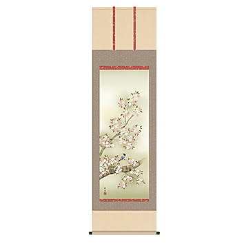 掛け軸 桜花に小鳥 長江桂舟 54.5x190cm 三幸