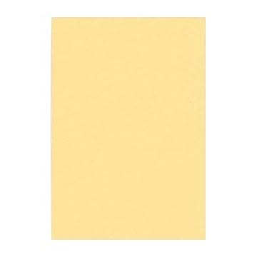 （まとめ） 文運堂 ニューカラーR 八ツ切 横271×縦392mm 8NCR-122 こいクリーム 100枚入 【×2セット】