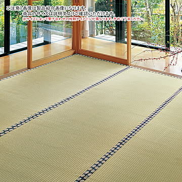 い草 カーペット 谷川 36間 12.5帖 正方形 455x455cm 萩原