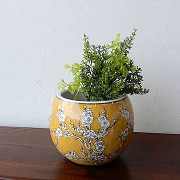 水鉢 火鉢 鉢カバー プランター メダカ鉢 【小梅黄色】