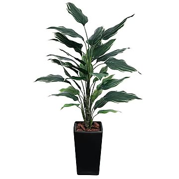 フェイクグリーン ホスタプラント 斑入り 130cm 陶器鉢 SC CT触媒 黒鉢