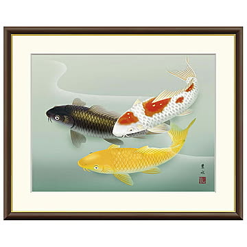 額絵 遊鯉 緒方葉水 61x49.5cm 三幸