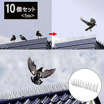 鳥よけ 針金 10個セット 害獣よけ スパイク 猫 ベランダ 玄関 ハト避け 糞害対策 侵入防止 予防 害獣 畑 バード 長さカット 可能 防鳥