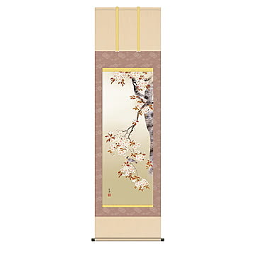 掛け軸 桜花に小鳥 近藤玄洋 54.5x190cm 三幸