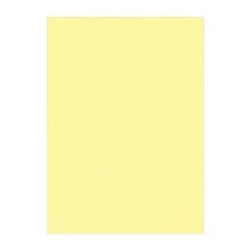 （まとめ） 文運堂 ニューカラーR 四ツ切 横392×縦542mm 4NCR-134 ライトイエロー 100枚入 【×2セット】