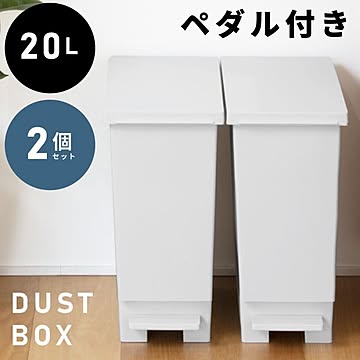 ゴミ箱 スリム 20リットル 20L 蓋つき 分別 2個セット スリム ダストボックス キッチン リビング フタ付き シンプル S-S202WH
