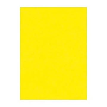 （まとめ） 文運堂 ニューカラーR 四ツ切 横392×縦542mm 4NCR-319 レモン 100枚入 【×2セット】