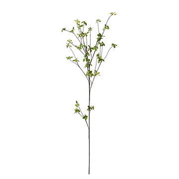 PA-0468 ドウダンツツジ グリーン H115cm 単品花材 / GREENPARK プリマ GREENPARK PA-0468