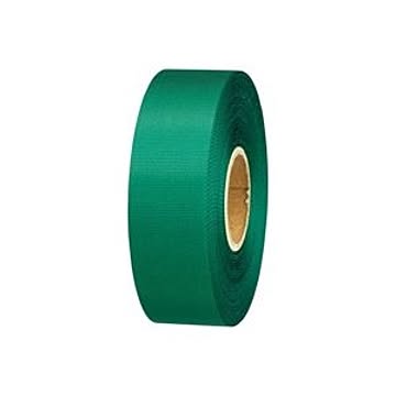 （まとめ）ジョインテックス カラーリボン緑 24mm*25m B824J-GR【×10セット】