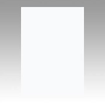 （まとめ） 文運堂 ニューカラーR 八ツ切 横271×縦392mm 8NCR-151 ゆき 100枚入 【×2セット】