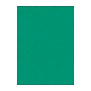 （まとめ） 文運堂 ニューカラーR 四ツ切 横392×縦542mm 4NCR-322 エメラルド 100枚入 【×2セット】