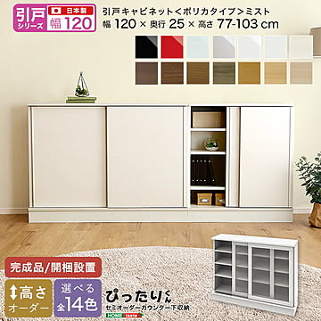 【引戸シリーズ】セミオーダー収納ぴったりくん キャビネット(ポリカタイプ ミスト) 幅120cm×奥行25cm 【OG】 完成品 開梱設置 日本製 カウンター 収納 収納 リビング キッチン