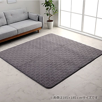 イケヒコ・コーポレーション ラグ リマリ グレー 200×240cm 9800346