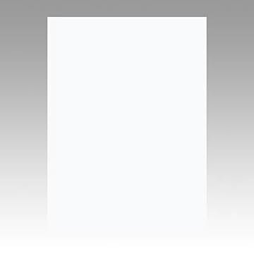 （まとめ） 文運堂 ニューカラーR 四ツ切 横392×縦542mm 4NCR-151 ゆき 100枚入 【×2セット】