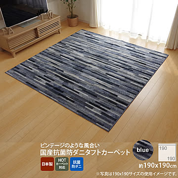 イケヒコ・コーポレーション マットーネ ラグ 190×190cm ブルー 4723159