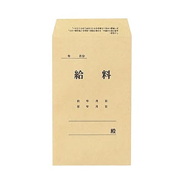 (まとめ) TANOSEE 給料袋 197×119mm 70g／m2 1パック（100枚） 【×30セット】