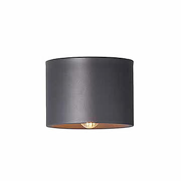 Eve-ceiling light イブシーリングライト (電球なし/モノトーンカラーモデル) AW-0635Z シーリングランプ 1灯 天井照明 LED球専用 E17