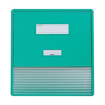 リヒトラブ カラーカードインデックスA3A4タテ2面11ポケット グリーン HC113C-3 1冊