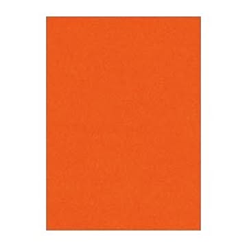 （まとめ） 文運堂 ニューカラーR 四ツ切 横392×縦542mm 4NCR-235 しゅいろ 100枚入 【×2セット】