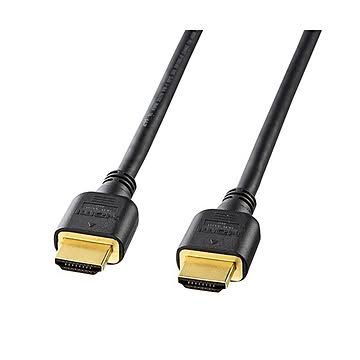 （まとめ）サンワサプライ ハイスピードHDMIケーブル KM-HD20-10H【×2セット】